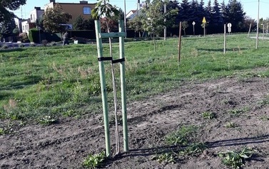 Zagospodarowanie przestrzeni publicznej przy Al. Jagiellon&oacute;w w m. G&oacute;ra 4