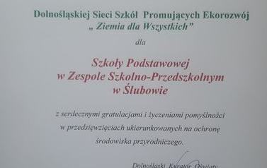 Sukces ZSPiP w Ślubowie 9