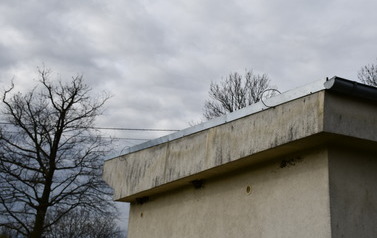 DSC_1230