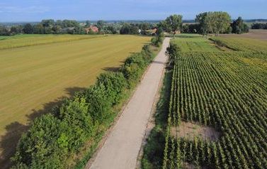 dji_fly_20230915_090340_768_1694761443523_photo_optimized