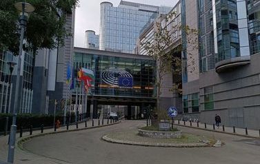 IMG_20231107_094734