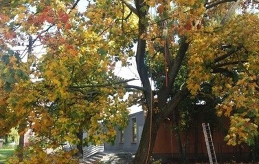 20201022_111740