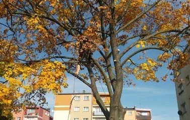 20201022_111551