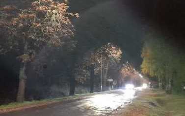 IMG-20201030-WA0016