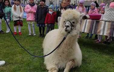 182916647_594926424801634_4286523720443639190_n