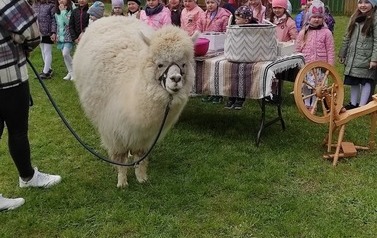 182579157_158526422868356_524240443036502274_n
