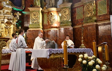 11 listopada (176)