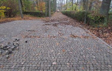 foto (4)