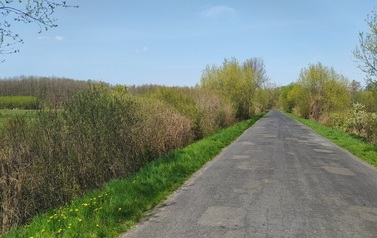 IMG_20220428_110848