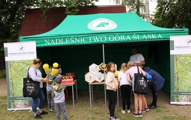 Festyn z okazji Dnia Dziecka i Sportu Szkolnego 18