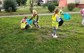PP3: Sprzątanie świata 3