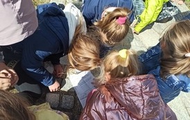 SP3: Gra terenowa po G&oacute;rze 43