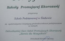 Sukces ZSPiP w Ślubowie 10