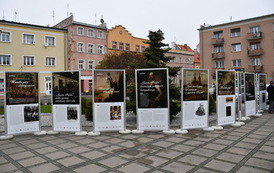 Otwarcie wystawy "Historia Zobowiązuje" 4
