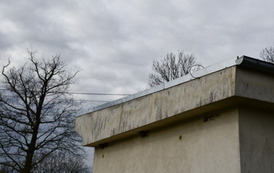 DSC_1230