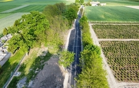 dji_fly_20230518_183630_207_1684427894267_photo_optimized