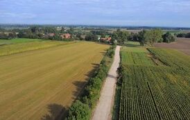 dji_fly_20230915_090348_769_1694761437378_photo_optimized