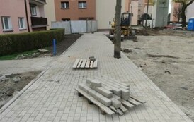 IMG_20240315_080344
