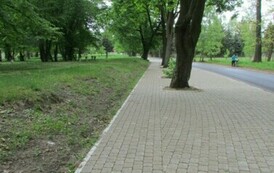 IMG_0249