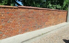 IMG_0101
