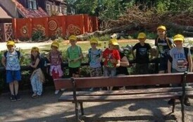 zoo11