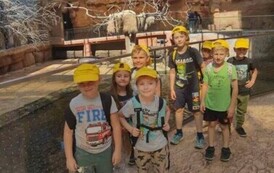 zoo8
