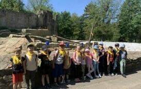 zoo4