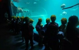 zoo2