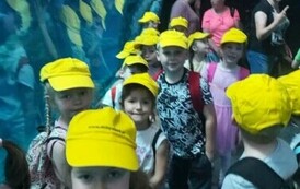 zoo1