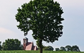 konkurs (11)