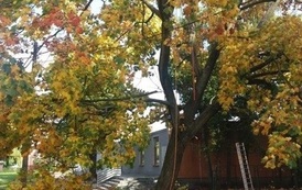 20201022_111740