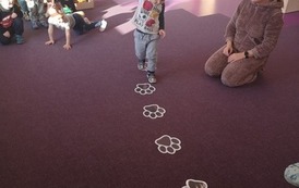 Misie (6)