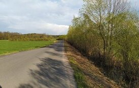 IMG_20210505_181600