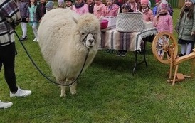 182579157_158526422868356_524240443036502274_n