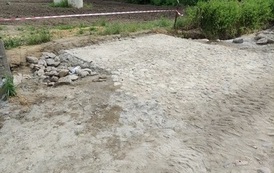 IMG_20210625_103244