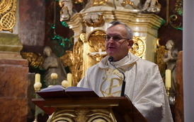 11 listopada (203)