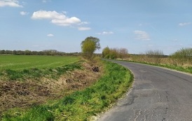 IMG_20220428_115557