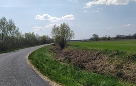 IMG_20220428_115554