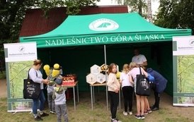 Festyn z okazji Dnia Dziecka i Sportu Szkolnego 18