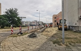 Korczaka 1