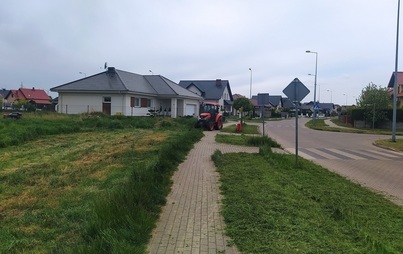 Zdjęcie do Koszenie skarp row&oacute;w i poboczy dr&oacute;g gminnych