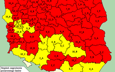 Zdjęcie do Duże zagrożenie pożarowe w lasach.