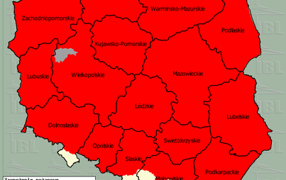 Zdjęcie do Aktualna mapa zagrożenia pożarowego w lasach!