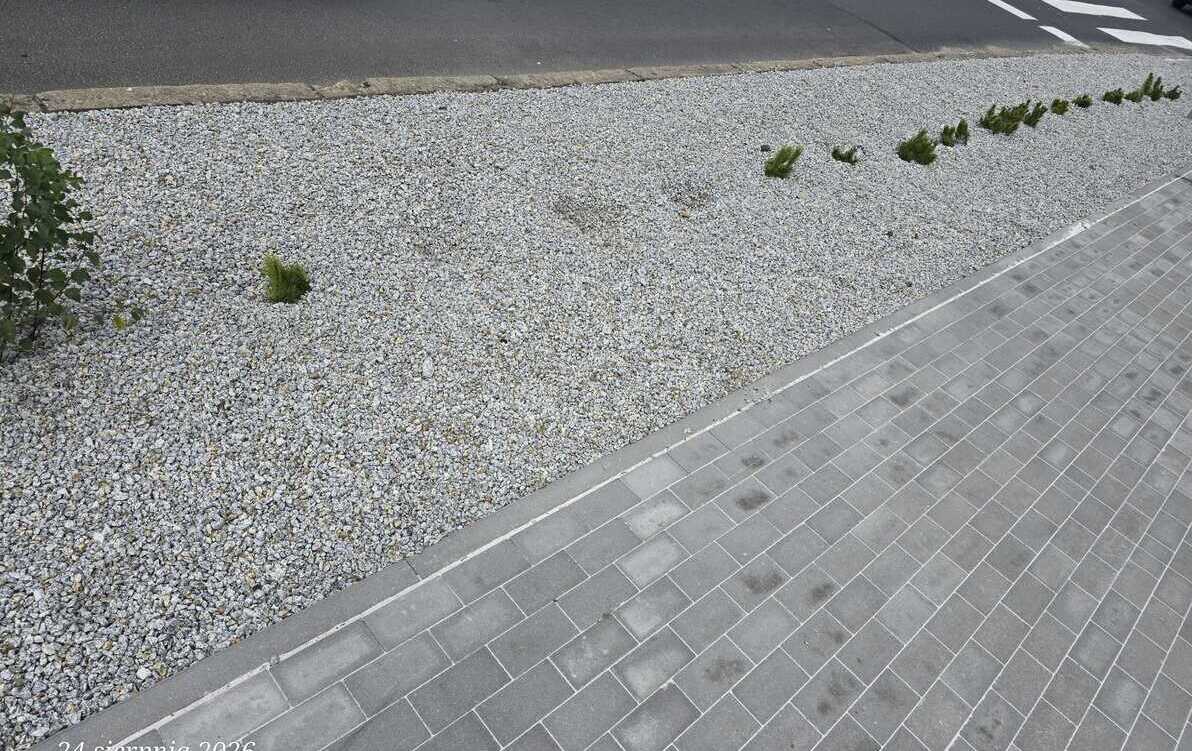 Zdjęcie artykułu z dnia 24-08-2026