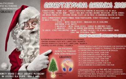 Zdjęcie do Zachęcamy do udziału w akcji "Charytatywna Choinka 2020"