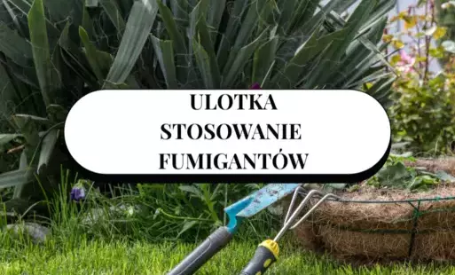 Zdjęcie artykułu z dnia 15-05-2025