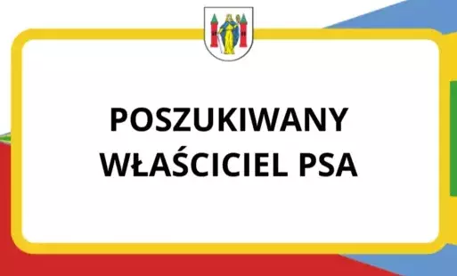 Zdjęcie do Poszukiwany właściciel pieska
