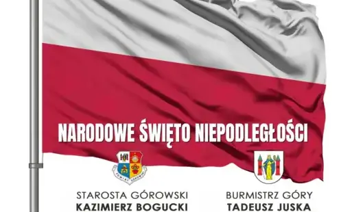 Zdjęcie do Obchody Narodowego Święta Niepodległości
