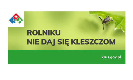 Zdjęcie do Kleszcze &ndash; czy naprawdę jest się czego obawiać?