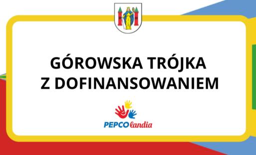 Zdjęcie do SP3 z dofinansowaniem